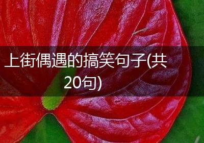 上街偶遇的搞笑句子(共20句)