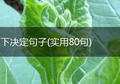 下决定句子(实用80句)