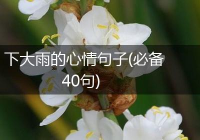 下大雨的心情句子(必备40句)