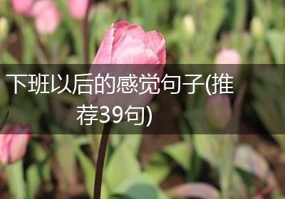 下班以后的感觉句子(推荐39句)