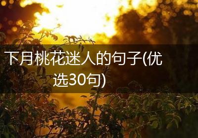 下月桃花迷人的句子(优选30句)