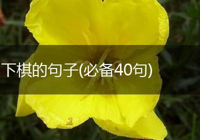 下棋的句子(必备40句)