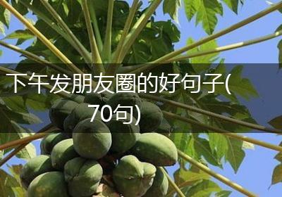 下午发朋友圈的好句子(70句)