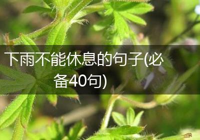 下雨不能休息的句子(必备40句)