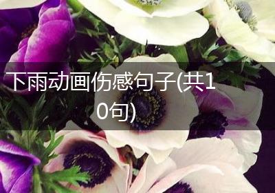 下雨动画伤感句子(共10句)