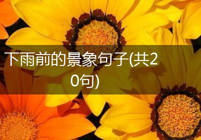 下雨前的景象句子(共20句)