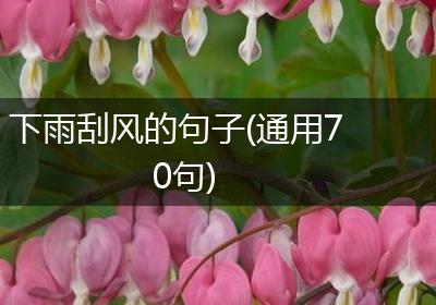 下雨刮风的句子(通用70句)