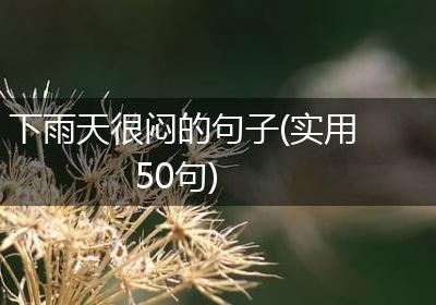 下雨天很闷的句子(实用50句)