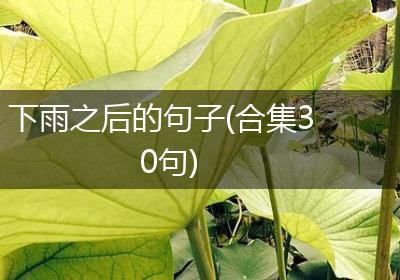 下雨之后的句子(合集30句)