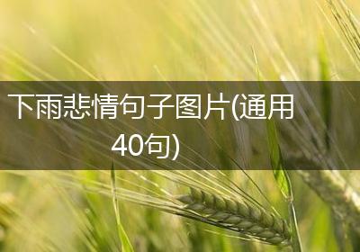 下雨悲情句子图片(通用40句)