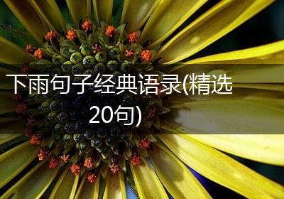 下雨句子经典语录(精选20句)