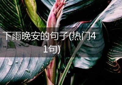 下雨晚安的句子(热门41句)