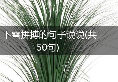 下雪拼搏的句子说说(共50句)