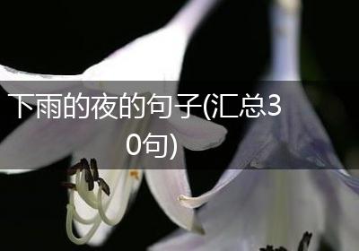 下雨的夜的句子(汇总30句)