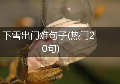 下雪出门难句子(热门20句)