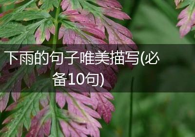 下雨的句子唯美描写(必备10句)