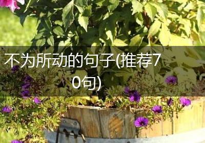 不为所动的句子(推荐70句)