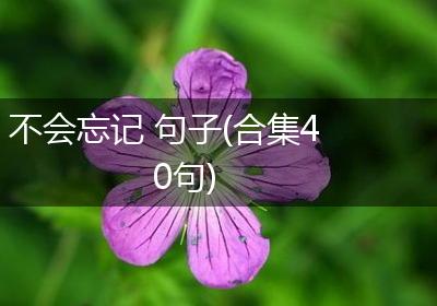 不会忘记 句子(合集40句)