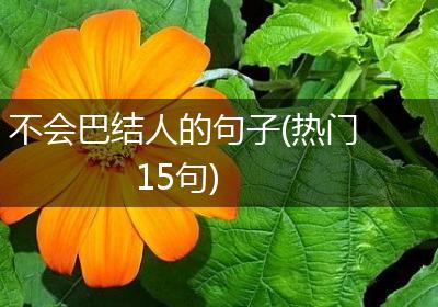 不会巴结人的句子(热门15句)