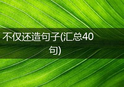 不仅还造句子(汇总40句)