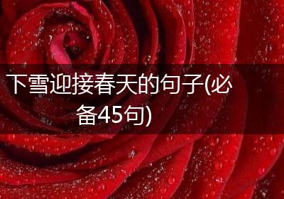 下雪迎接春天的句子(必备45句)