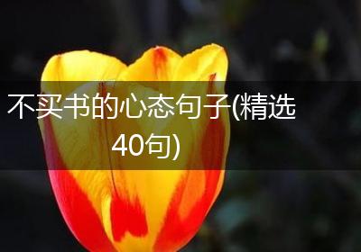 不买书的心态句子(精选40句)
