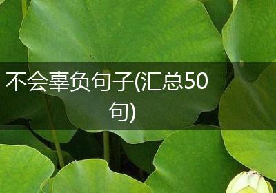 不会辜负句子(汇总50句)