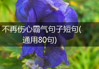 不再伤心霸气句子短句(通用80句)