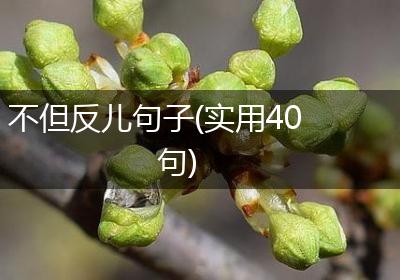 不但反儿句子(实用40句)