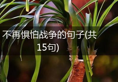 不再惧怕战争的句子(共15句)