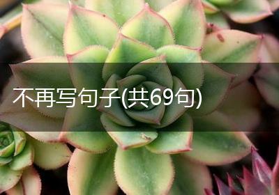 不再写句子(共69句)