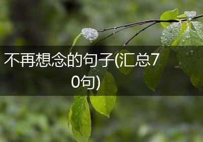 不再想念的句子(汇总70句)