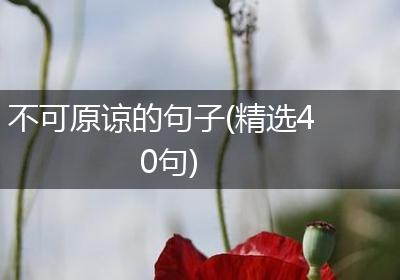 不可原谅的句子(精选40句)