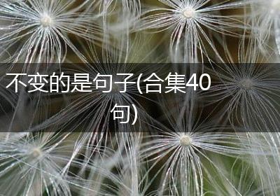 不变的是句子(合集40句)