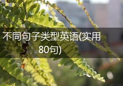 不同句子类型英语(实用80句)