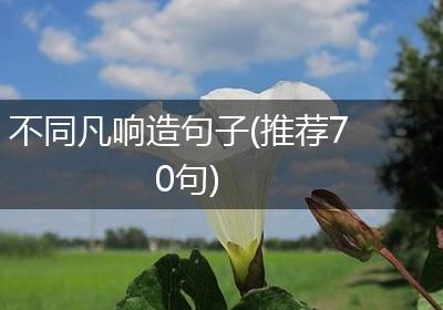 不同凡响造句子(推荐70句)