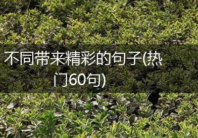 不同带来精彩的句子(热门60句)