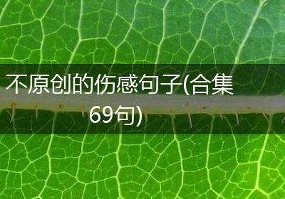 不原创的伤感句子(合集69句)