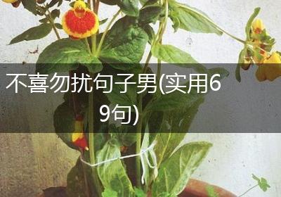 不喜勿扰句子男(实用69句)