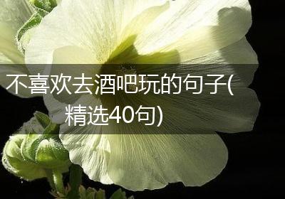 不喜欢去酒吧玩的句子(精选40句)