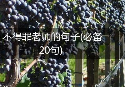 不得罪老师的句子(必备20句)