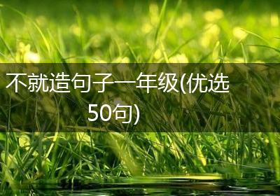 不就造句子一年级(优选50句)