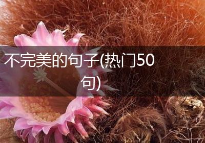 不完美的句子(热门50句)