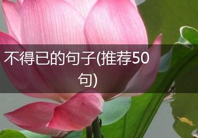 不得已的句子(推荐50句)
