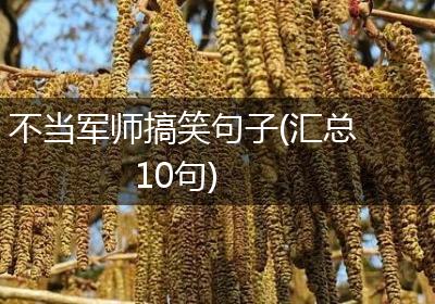 不当军师搞笑句子(汇总10句)