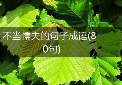 不当懦夫的句子成语(80句)