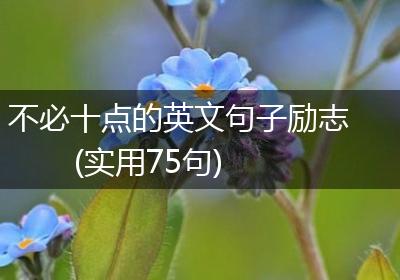 不必十点的英文句子励志(实用75句)
