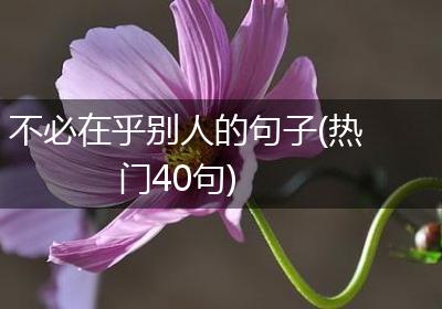 不必在乎别人的句子(热门40句)