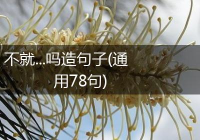 不就...吗造句子(通用78句)