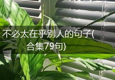 不必太在乎别人的句子(合集79句)